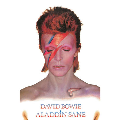 David Bowie Poster Aladdin Sane 269