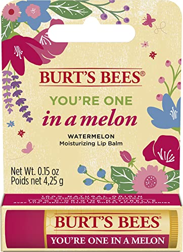 Burt's Bees Lip Balm Watermelon