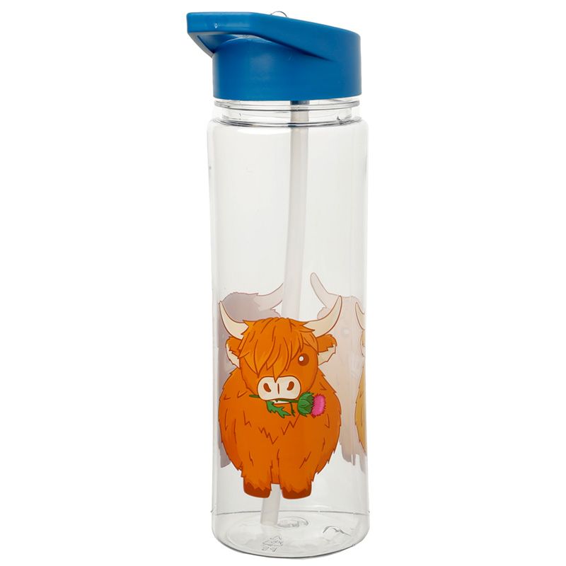 550ml Water Bottle Highland Coo Cow